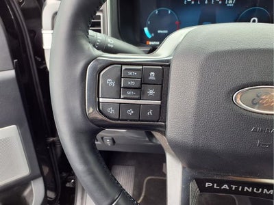 2025 Ford F-250SD Platinum