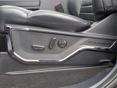 2025 Ford F-250SD Platinum